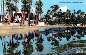 Colomb-Bechar - La Palmeraie